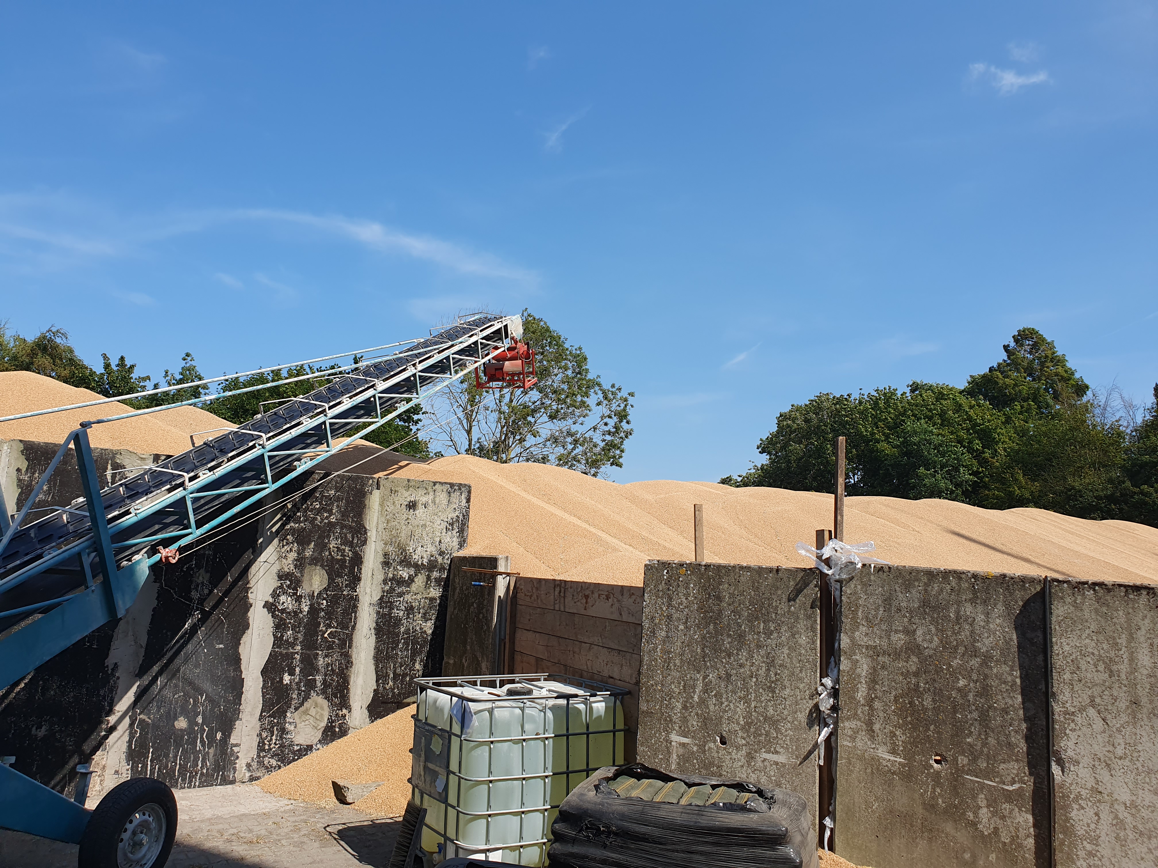 newsimages/151-Ernte 2025 Berg Marienhafe5.jpg